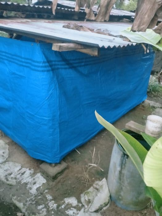 warga_juma_tombak_keluhkan_peternakan_babi_hingga_kini_belum_ada_penertiban