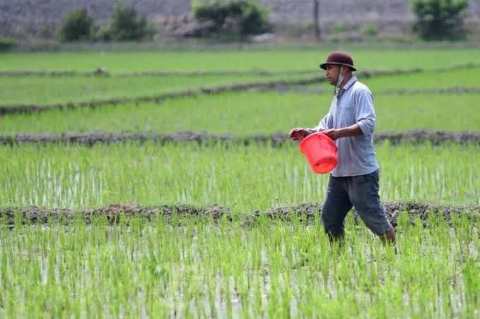 670_ton_pupuk_disiapkan_untuk_petani_taput_pemkab_pastikan_stok_mt_1_dan_mt_2_aman