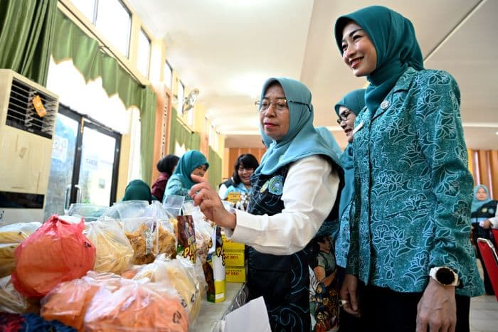 dukung_tertib_administrasi_dan_data_tp_pkk_sumut_kembangkan_aplikasi_sipanda