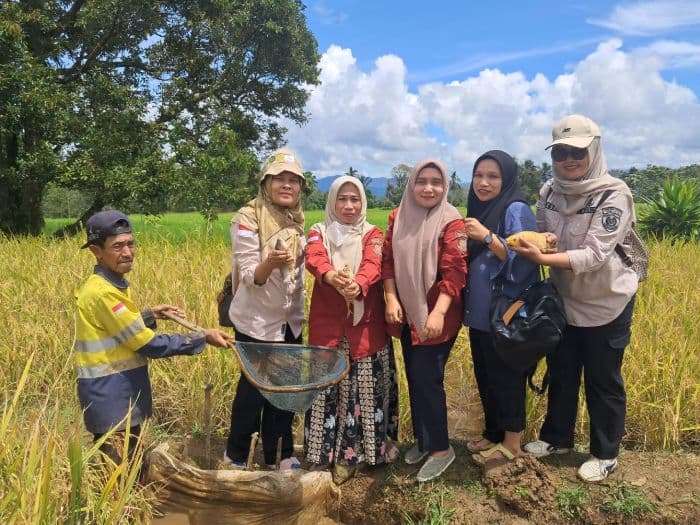 mina_padi_dorong_kesejahteraan_petani_tapsel_produksi_naik_hingga_32_persen