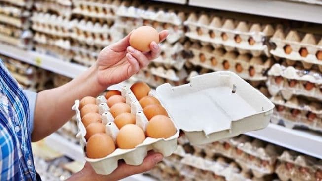 harga_telur_di_tingkat_peternak_merosot_produksi_melimpah_tak_terserap_maksimal