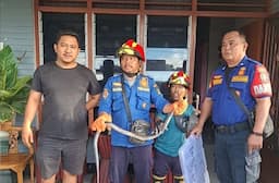 musim_hujan_damkar_pematangsiantar_imbau_warga_waspadai_ular_masuk_permukiman