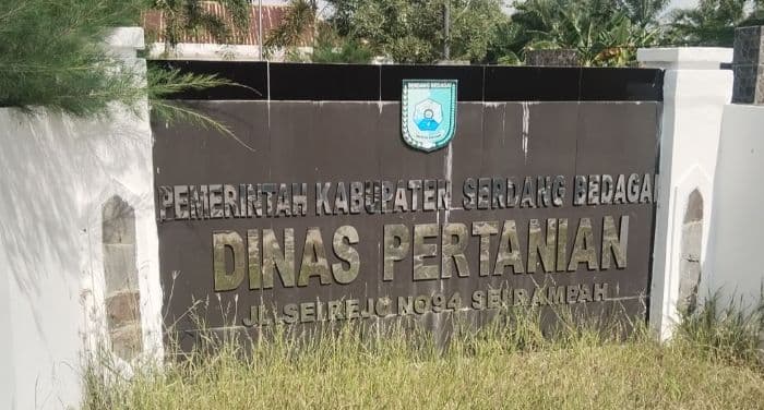 petani_di_sergai_keluhkan_lamanya_pendistribusian_pupuk_subsidi