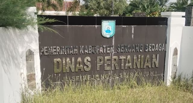 petani_di_sergai_keluhkan_lamanya_pendistribusian_pupuk_subsidi