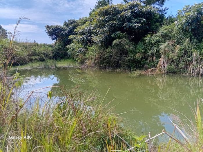 kabag_hukum_taput_beberkan_potensi_pelanggaran_hukum_di_kawasan_hutan_sijaba