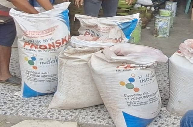 petani_dairi_keluhkan_sulit_dapat_pupuk_bersubsidi_dinas_pertanian_segera_turun_cek_distribusi
