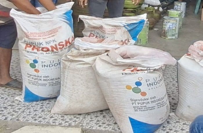 petani_dairi_keluhkan_sulit_dapat_pupuk_bersubsidi_dinas_pertanian_segera_turun_cek_distribusi
