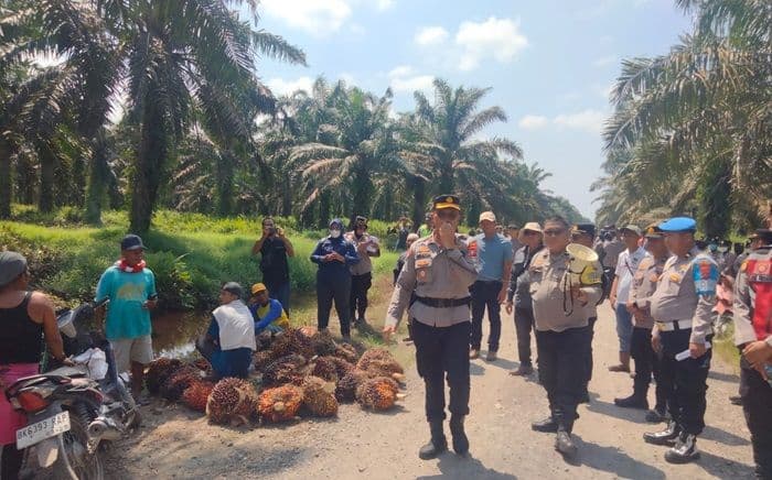 warga_panen_sawit_di_lahan_hgu_pt_csil_asahan_polisi_cegah_potensi_konflik