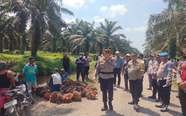 warga_panen_sawit_di_lahan_hgu_pt_csil_asahan_polisi_cegah_potensi_konflik