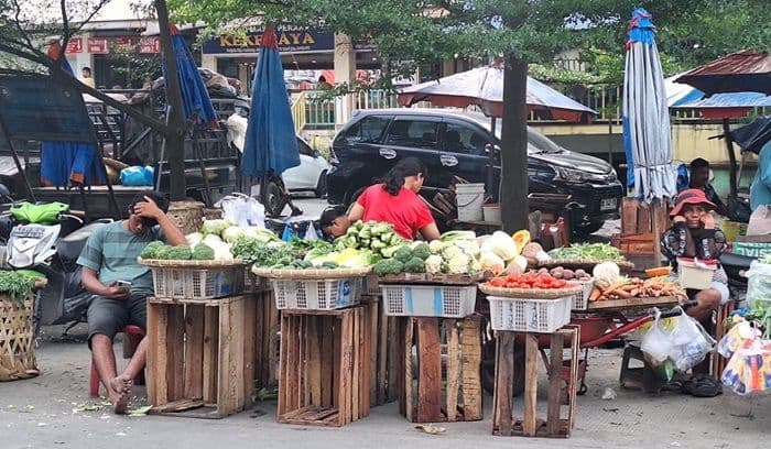 harga_sayur_stabil_pascaerupsi_sinabung_cabai_di_medan_melonjak