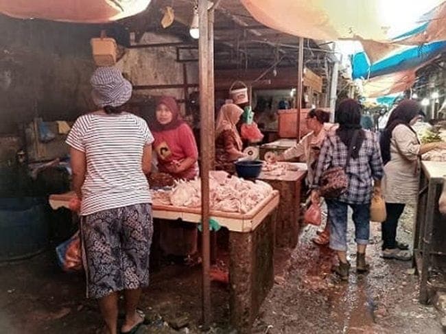 permintaan_ayam_tinggi_karena_mbg_pedagang_di_siantar_kurangi_keuntungan