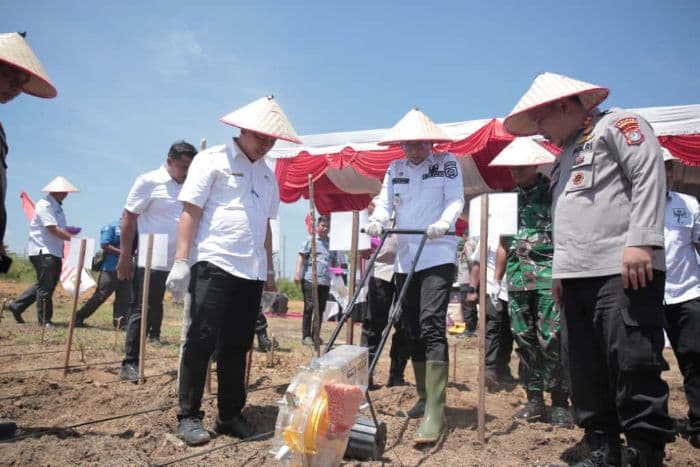 bupati_labusel_dan_kapolres_tanam_jagung_serentak_untuk_dorong_ketahanan_pangan