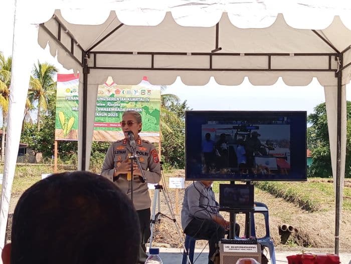 dukung_ketahanan_pangan_polres_pematangsiantar_targetkan_produksi_100_ton_jagung