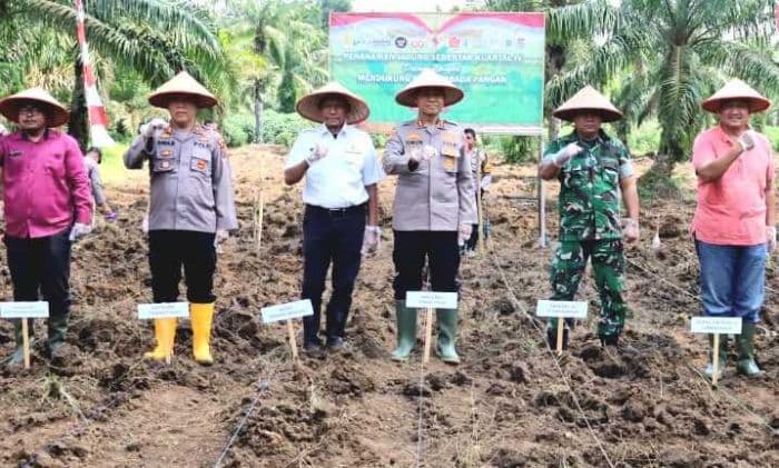 kapolres_tebing_tinggi_bersama_warga_tanam_jagung_serentak_di_lahan_3_hektare