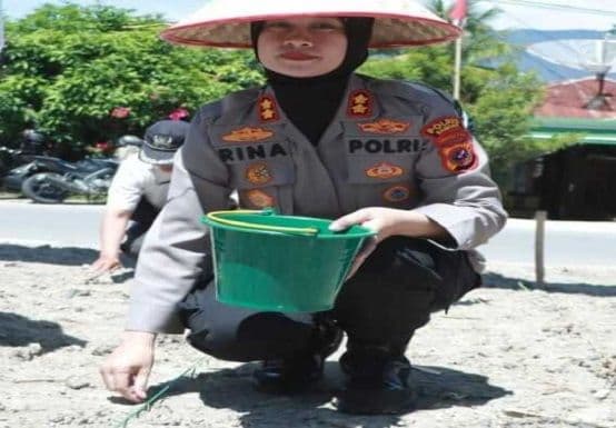 polres_samosir_tanam_jagung_serentak_dukung_ketahanan_pangan_nasional