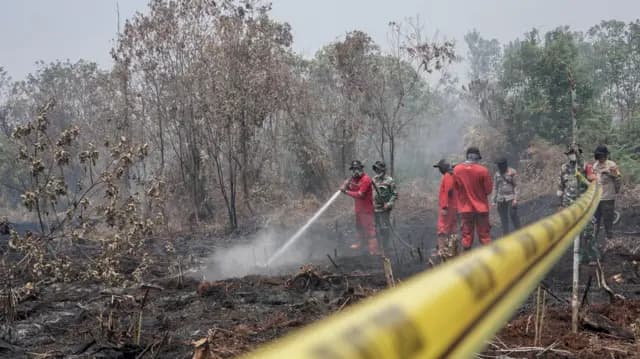 komisi_xii_dpr_ri_usul_denda_korporasi_karhutla_untuk_pemulihan_lingkungan