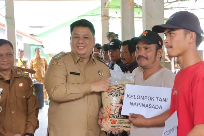 bupati_samosir_salurkan_125_ton_bibit_padi_ciherang_untuk_58_kelompok_tani