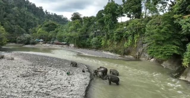 30_desa_wisata_resmi_ditetapkan_bupati_langkat_dorong_ekonomi_daerah