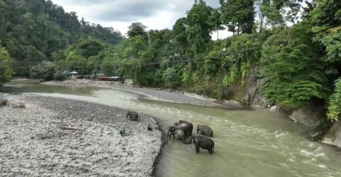 30_desa_wisata_resmi_ditetapkan_bupati_langkat_dorong_ekonomi_daerah