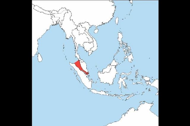 selat_malaka_jadi_sorotan_dunia_lebih_strategis_dari_hormuz_ini_fakta_sejarah_dan_sikap_prabowo