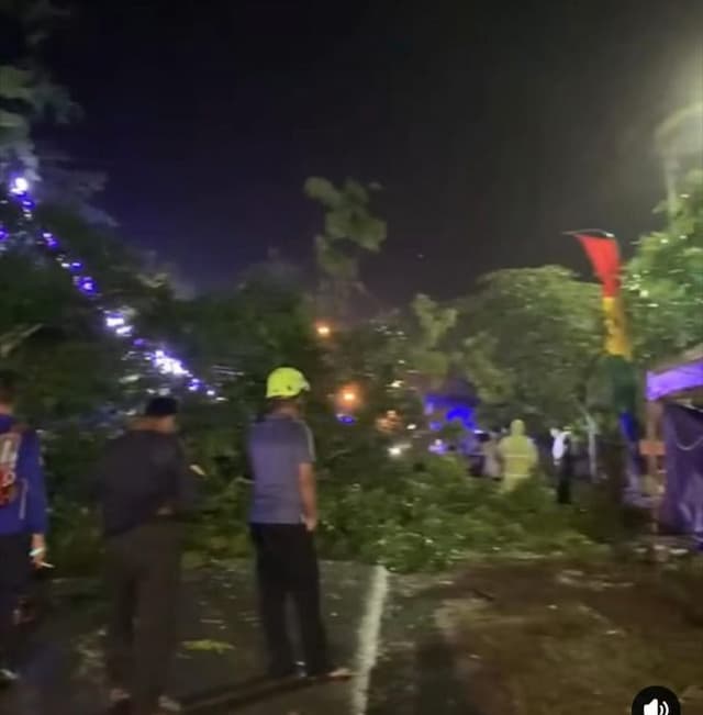 pohon_tumbang_timpa_mobil_di_lubuk_pakam
