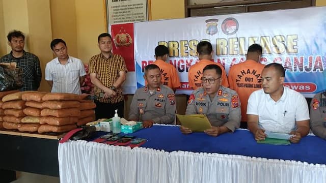 polres_padanglawas_ringkus_tiga_warga_bawa_ganja_44_kilogram