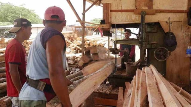 pengusaha_sawmill_di_siborongborong_bantah_kelola_kayu_ilegal