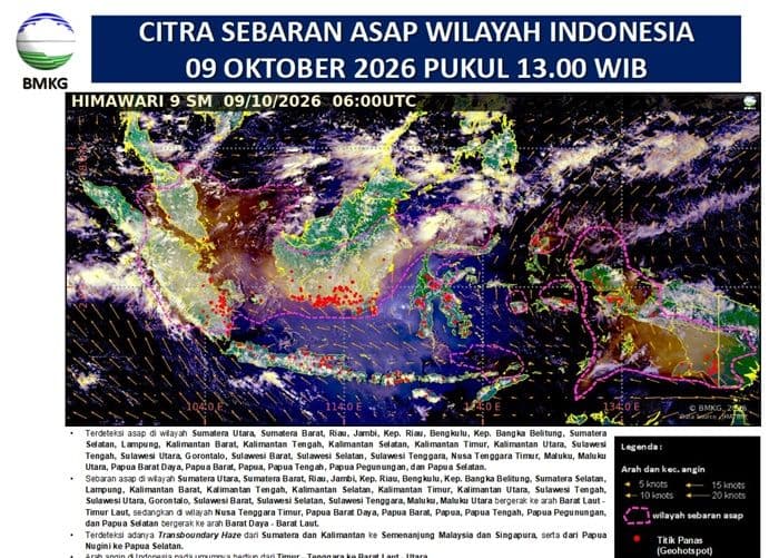 bmkg_asap_karhutla_selimuti_9_kabupatenkota_di_sumut_jarak_pandang_menurun_