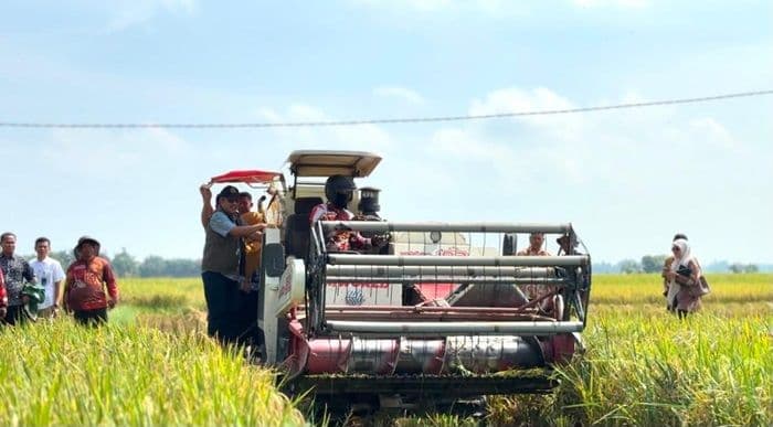 bulog_cetak_rekor_nasional_411_juta_ton_sumut_optimis_november_capai_target_100_persen_