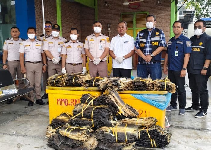 diselundupkan_di_dalam_fiber_berisi_kerang_ribuan_kulit_biawak_gagal_dijual_ke_malaysia