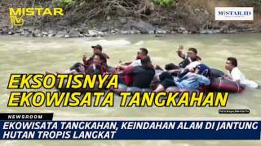 newsroom_ekowisata_tangkahan_keindahan_alam_di_jantung_hutan_tropis_langkat