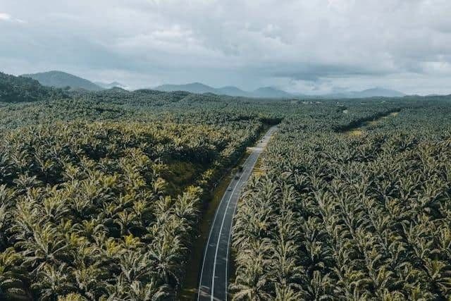 pansus_plasma_perkebunan_di_batu_bara_diharapkan_bisa_perjuangkan_hak_masyarakat