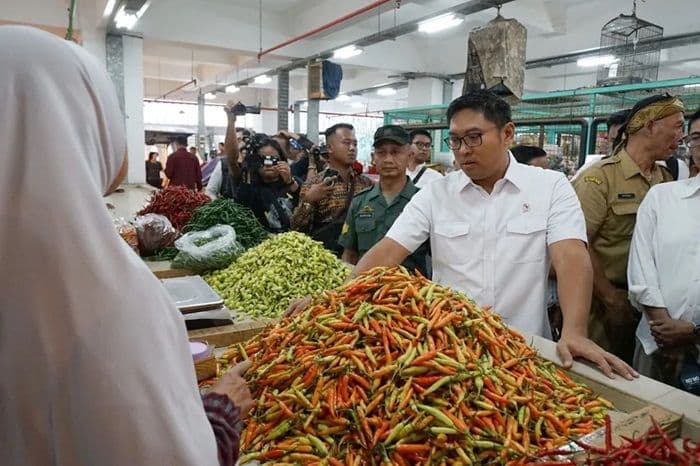stabilisasi_bahan_pokok_wamentan_imbau_pemda_rutin_sidak_ke_pasar