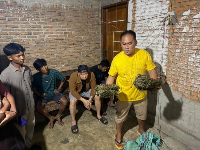 149_lokasi_digerebek_dan_972_tersangka_diamankan_selama_operasi_antik_toba_2026