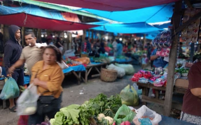 harga_bawang_merah_lokal_di_samosir_turun_jadi_rp28_ribukilogram_bawang_putih_justru_naik