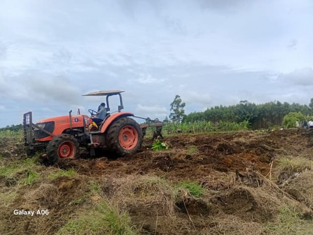 pemkab_taput_eksekusi_300_hektare_lahan_register_42_sijaba_warga_protes_tanah_ikut_digusur