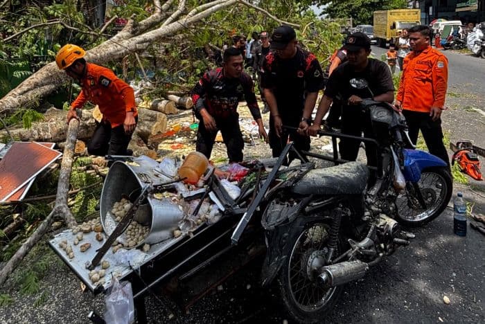 pedagang_bakso_di_binjai_tertimpa_pohon_tumbang_gerobak_dagangan_hancur_
