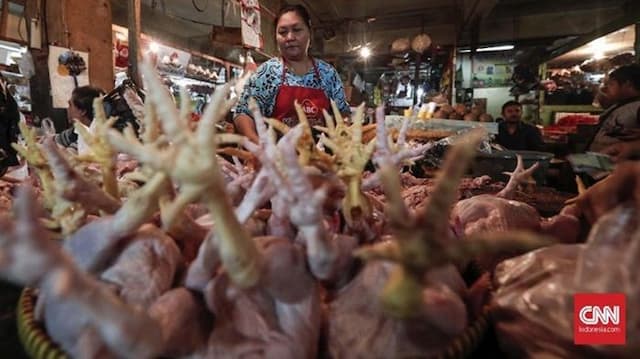 harga_daging_ayam_naik_di_188_daerah_ini_penyebabnya