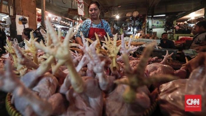 harga_daging_ayam_naik_di_188_daerah_ini_penyebabnya