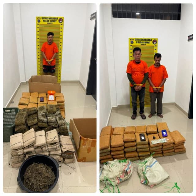 polisi_bongkar_peredaran_narkoba_di_sunggal_ratusan_kg_ganja_diamankan_dari_tiga_pria