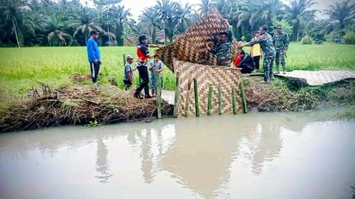 forkopimcam_dan_petani_perbaiki_tanggul_jebol_40_hektar_sawah_selamat