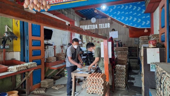 daging_ayam_dan_telur_konsisten_tunjukkan_kenaikan_harga_di_sumut