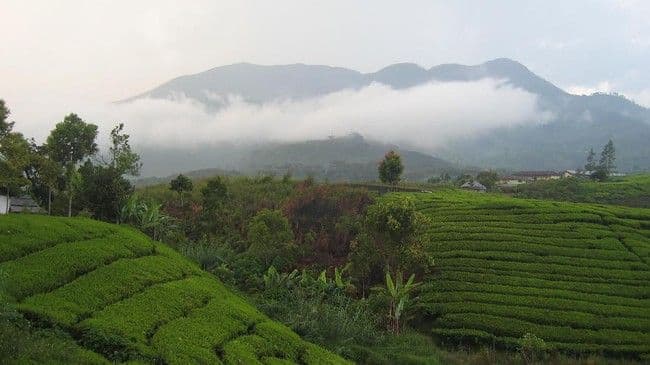 gempa_magnitudo_47_di_solok_status_gunung_talang_naik_jadi_waspada