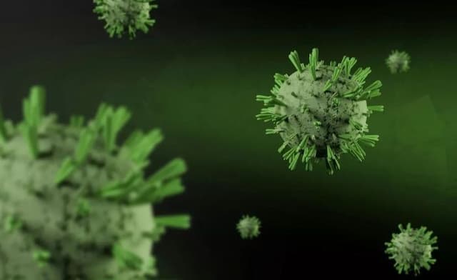 simalungun_masih_aman_dari_virus_nipah_puskesmasrs_diminta_tetap_waspada_