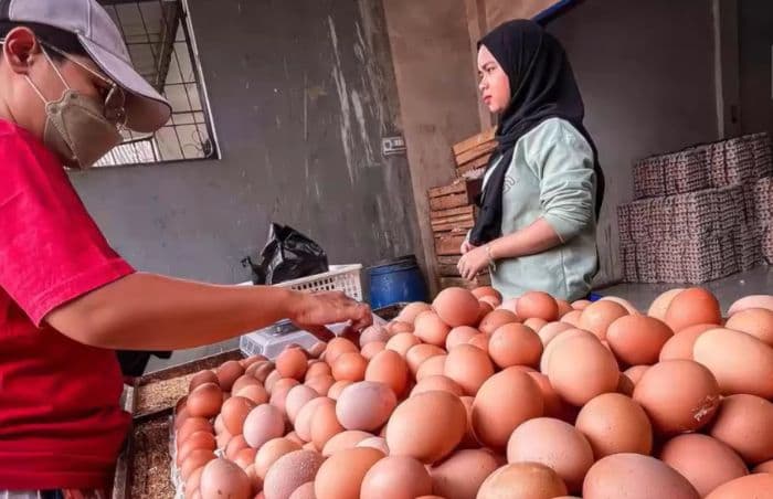 harga_telur_ayam_di_sumut_naik_jelang_lebaran_asahan_tertinggi_rp35000_per_kg