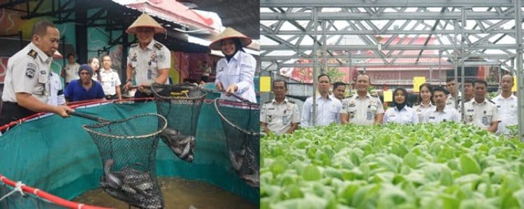 lapas_medan_panen_raya_ikan_lele_dan_sayuran_hidroponik_program_kemandirian_napi_berhasil
