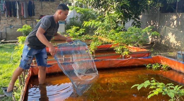 remaja_di_asahan_raup_omzet_puluhan_juta_dari_budidaya_ikan_dan_cacing_sutra