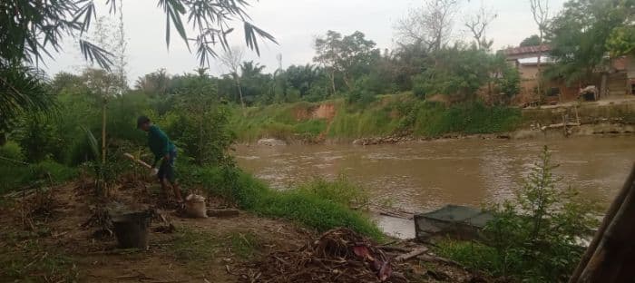 sambung_hidup_irt_ini_ternak_ikan_dan_tanam_cabai_di_bantaran_sungai_kota_tebing_tinggi
