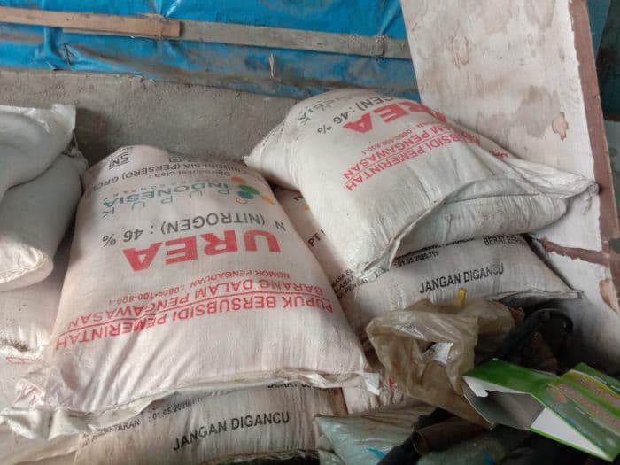 petani_di_kecamatan_porsea_mulai_melakukan_penebusan_pupuk_subsidi_
