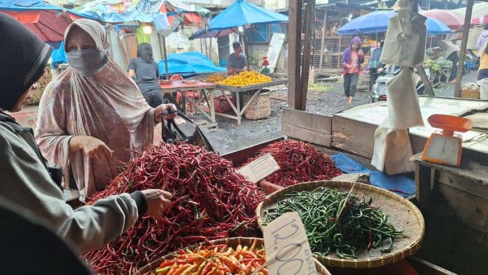 harga_cabai_dan_bawang_di_medan_kompak_turun_hari_ini